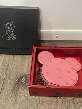 Disney Coach Bag